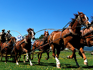 Protected: WELLS FARGO